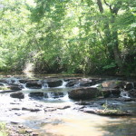 buck creek